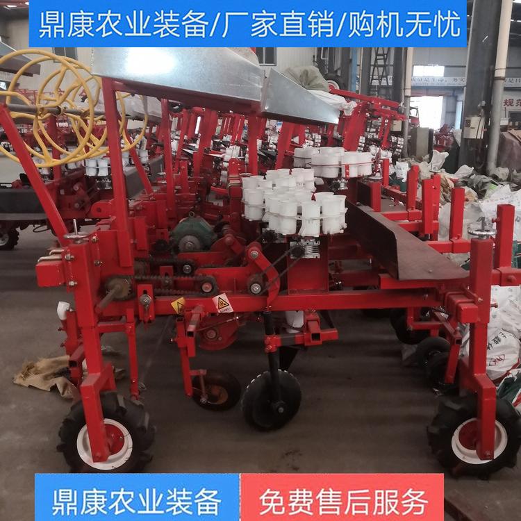 生产丹参黄芩药材移栽机 鼎康移栽机价格厂家直销