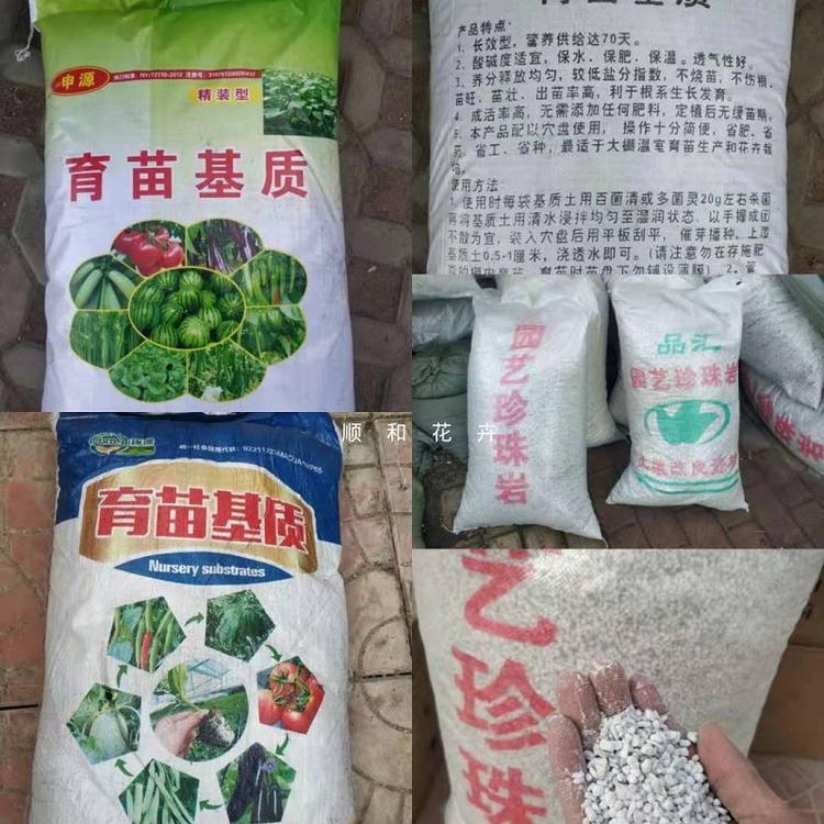 东北泥炭土批发价格  园林用泥炭土  育苗种苗用草炭土