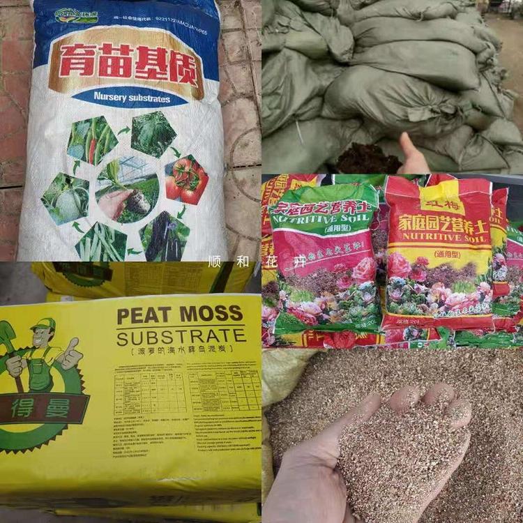 草炭土供应商  泥炭土批发  泥炭土价格  东北泥炭土