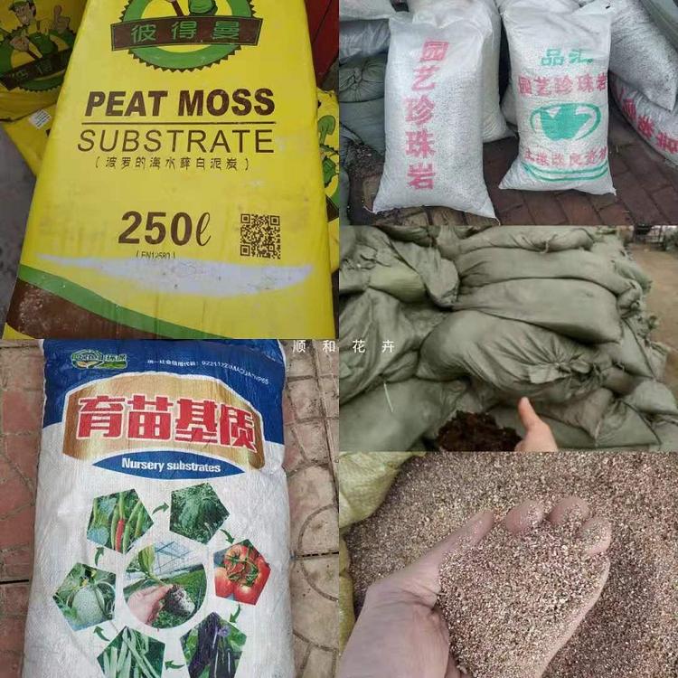 东北草炭土批发  泥炭土价格  育苗基质厂家直销