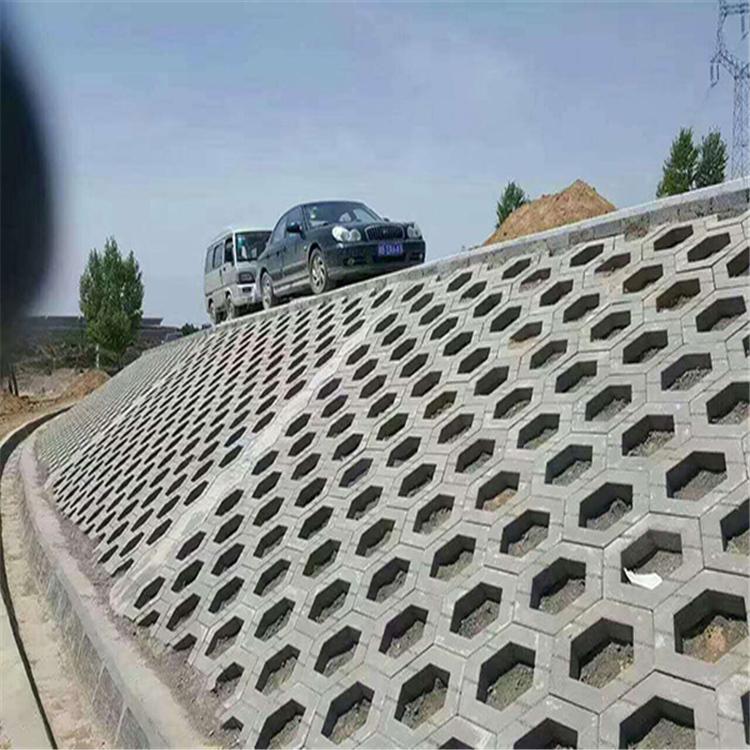 抗冲击护坡砖 厂家直销  金路通  护坡砖