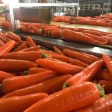带土胡萝卜 蔬菜超市胡萝卜 带土胡萝卜种植基地 潍坊带土胡萝卜