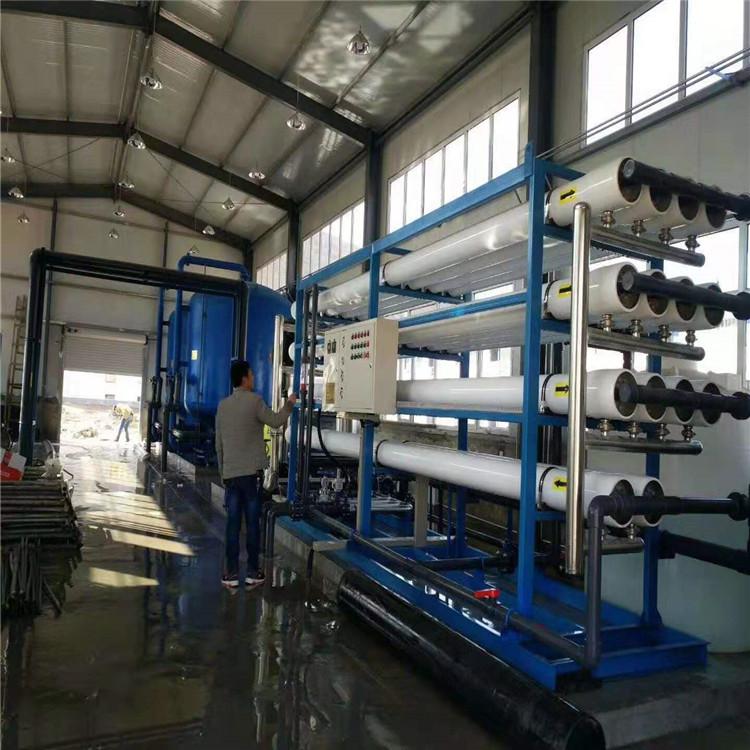反渗透RO纯水设备 厂家直供食品级净水设备 反渗透去离子水设备