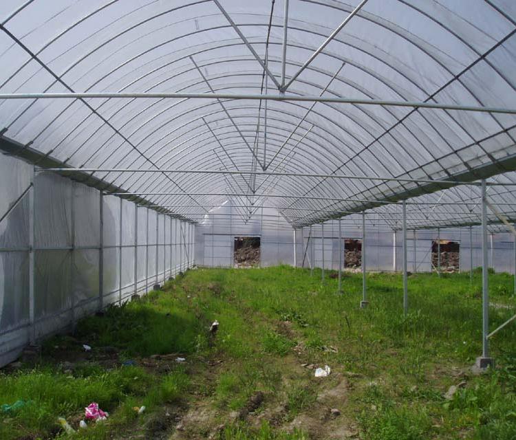 天之蓝温室专业定制温室大棚_蔬菜大棚_温室大棚骨架