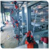 厂家供应全自动养殖设备 高效节能型养殖机械 型号齐全肉鸡养殖鸡笼