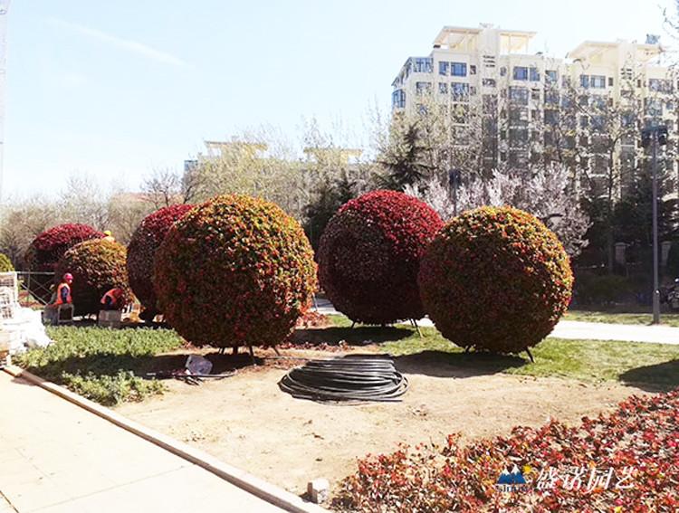 园艺景观铁艺花球 生产厂家铁艺花球 立体花球 广场花球造型