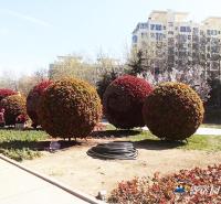 园艺景观铁艺花球 生产厂家铁艺花球 立体花球 广场花球造型