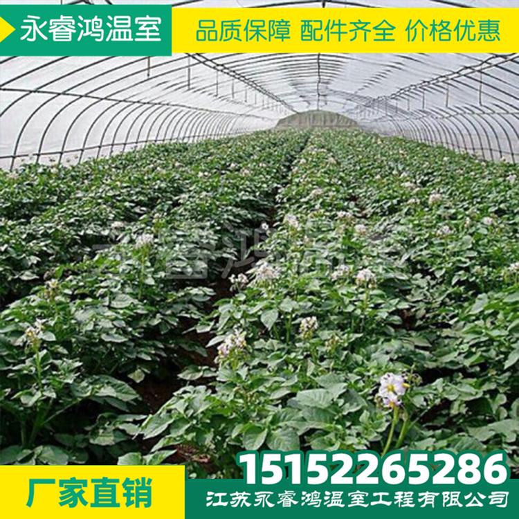 花卉大棚 花卉大棚骨架来图定制