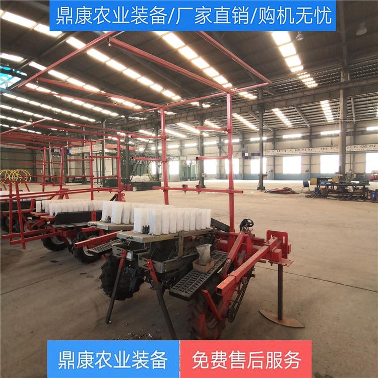 新型多鸭嘴移栽机 牵引式蔬菜移栽机 辣椒移栽机生产厂家直供