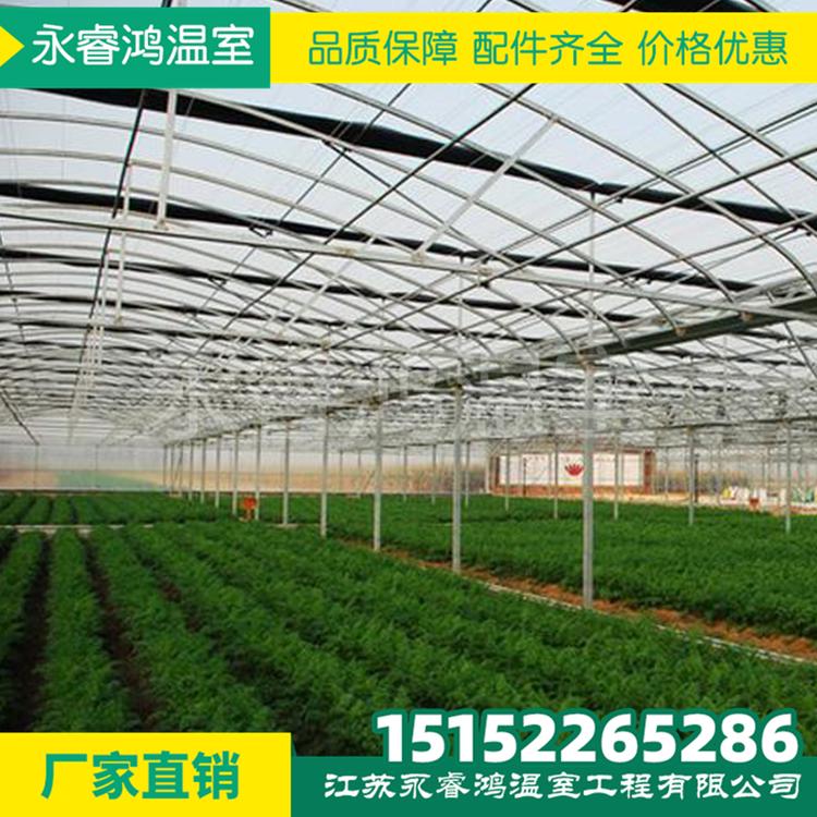 乐平蔬菜大棚  蔬菜大棚骨架免费设计