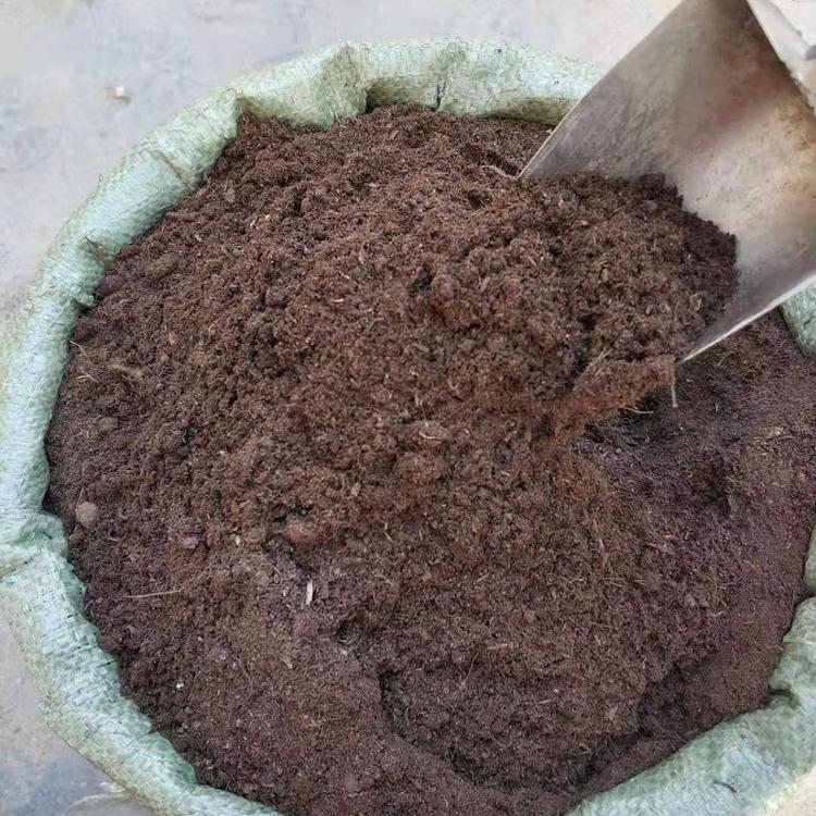 园林绿化草炭土 草炭土价格 草炭土厂家欣美园艺