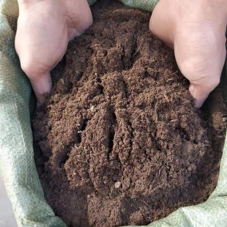 草炭土  泥炭土  营养土  育苗基质厂家直销