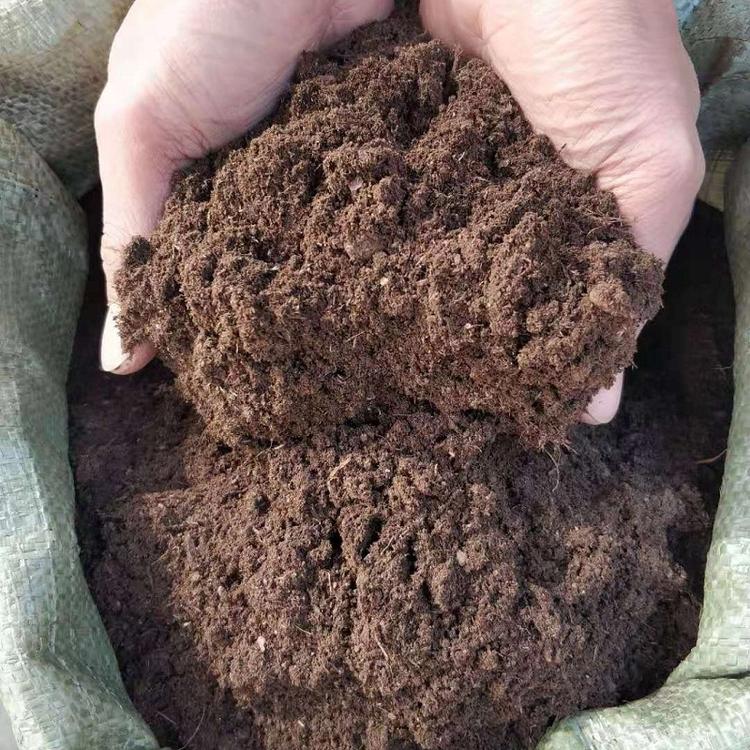 草炭土批发  草炭土栽培