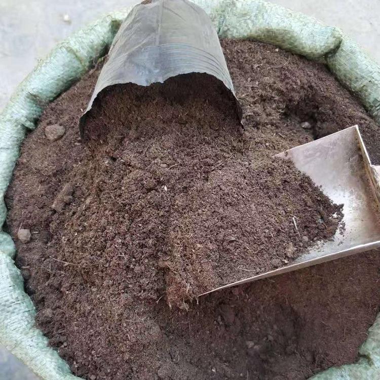无土栽培草炭土价格   进口草炭土价格  东北草炭土厂家