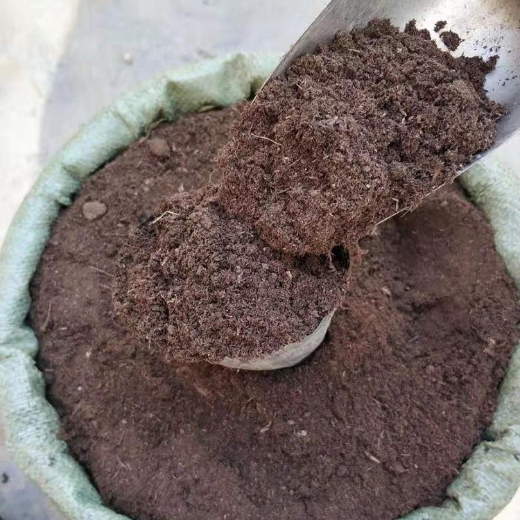 草炭土 草炭土批发 草炭土厂家 草炭土基地