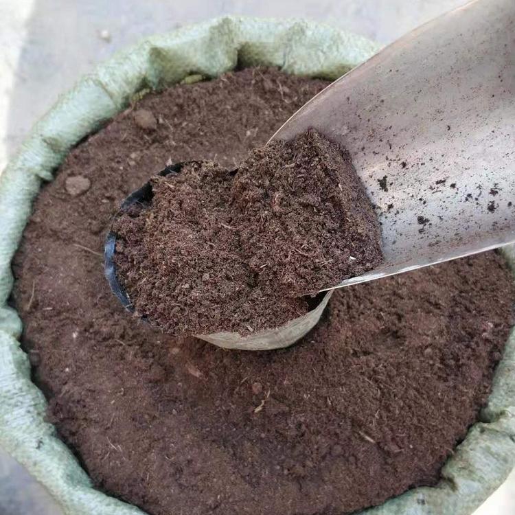 草炭土批发厂家