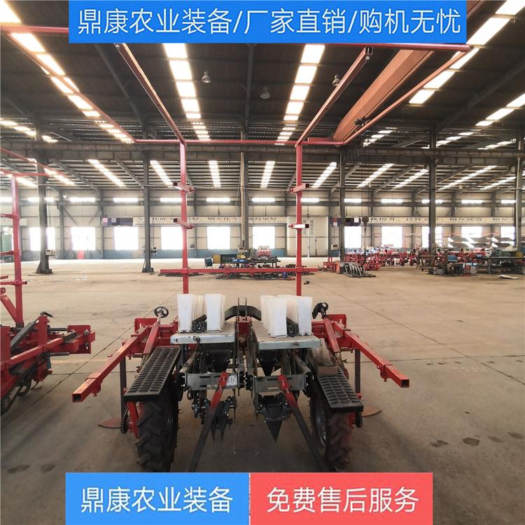 移栽机生产厂家 小型新款蔬菜移栽机 菜苗秧苗种植机 鼎康农业