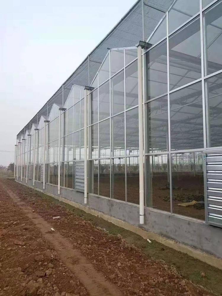 陕西省纹络玻璃温室工程成本