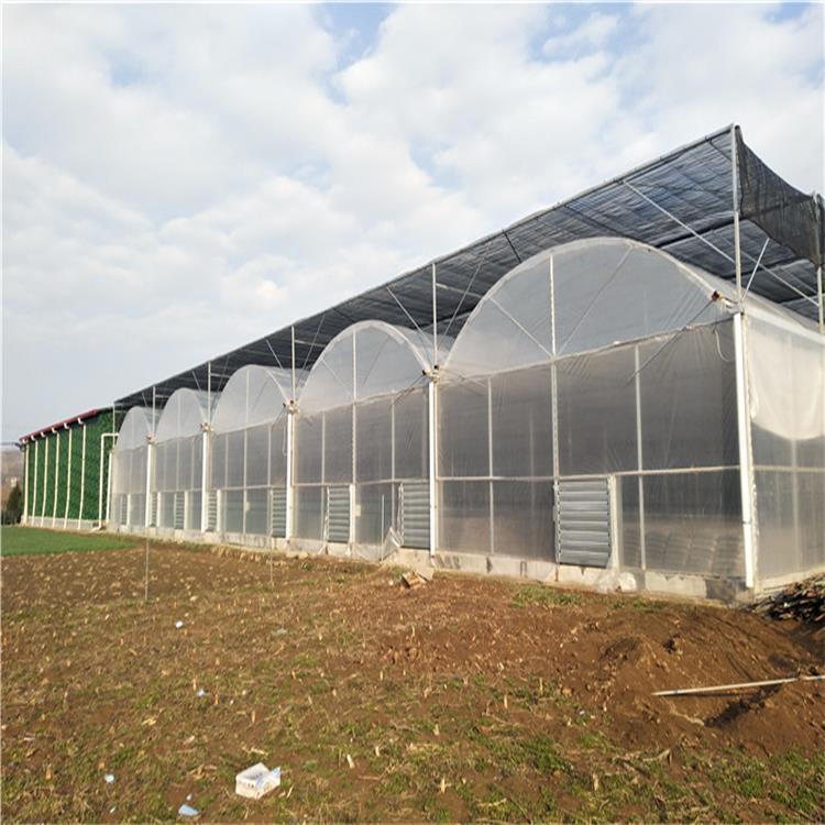 诚阳温室玻璃温室大棚  连栋温室大棚 厂家批发 花卉大棚 大棚建造安装厂家