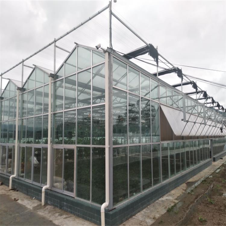 温室大棚厂家  诚阳玻璃温室厂家 新型智能连栋温室大棚 冬暖蔬菜大棚