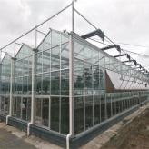 新连体大棚 恒温大棚 玻璃温室 现代农业温室大棚 日光温室