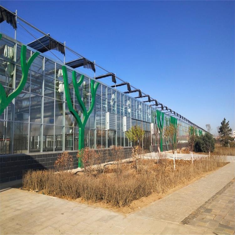 玻璃温室大棚价格  玻璃温室大棚报价 简易薄膜温室大棚 大棚骨架定制