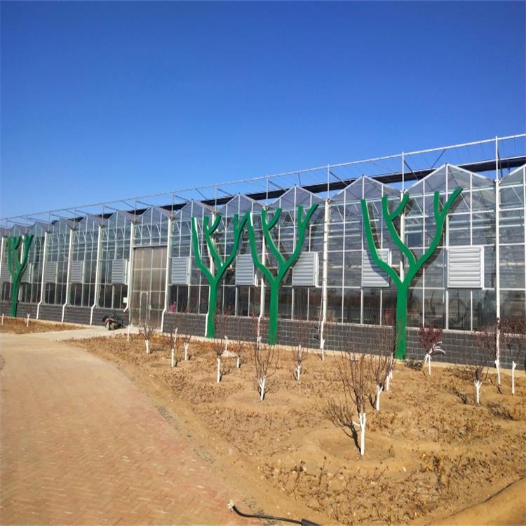 文洛式温室大棚  玻璃大棚建设 玻璃大棚材料 诚阳温室 加工供应