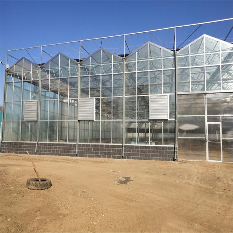 山东单体大棚材料  玻璃温室建设 连栋温室施工 养殖大棚荐