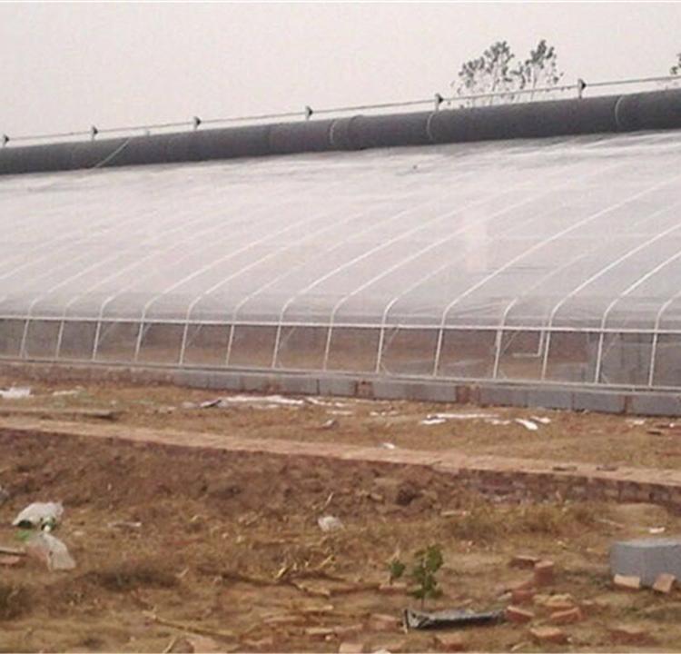 新型温室大棚 日光温室大棚骨架 日光温室建造商 鑫创温室