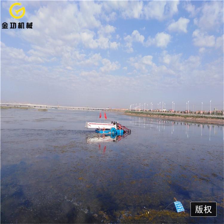 金功清漂船  河道中型割草船  全自动割草船生产厂家
