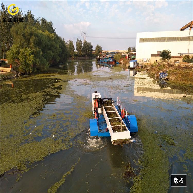 大型割草船价格  河北割草船图片 水葫芦打捞船