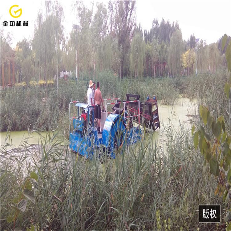 履带式全自动割草船 水葫芦粉碎船 半自动水面保洁船