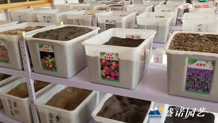 花卉种子种植 花卉种子播种 买花卉种子 购花卉种子 草花种子 宿根花卉种子批发基地