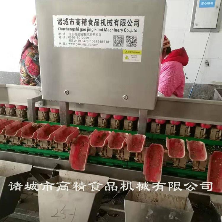 牡蛎大小分选 牡蛎分拣机 分拣机哪家好