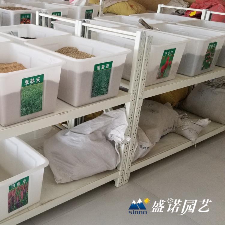 薰衣草种子 牵牛种子 孔雀草种子 万寿菊种子 一串红种子 草花种子 宿根花卉种子 批发厂家