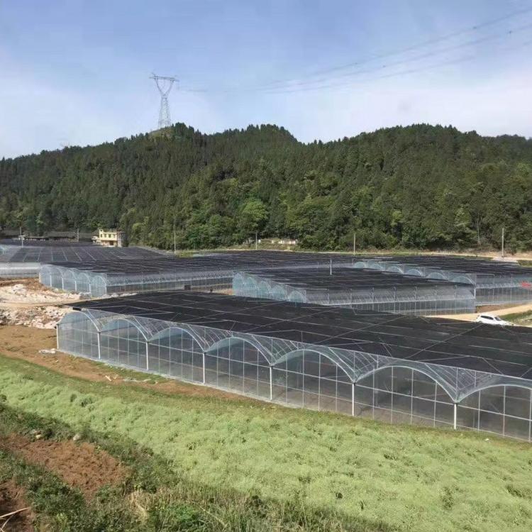 北京薄膜温室价格薄膜温室承接