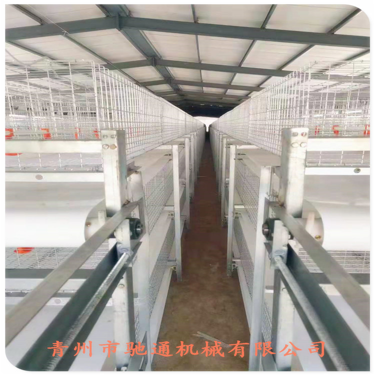 厂家出售西藏肉鸡笼规格经济实惠