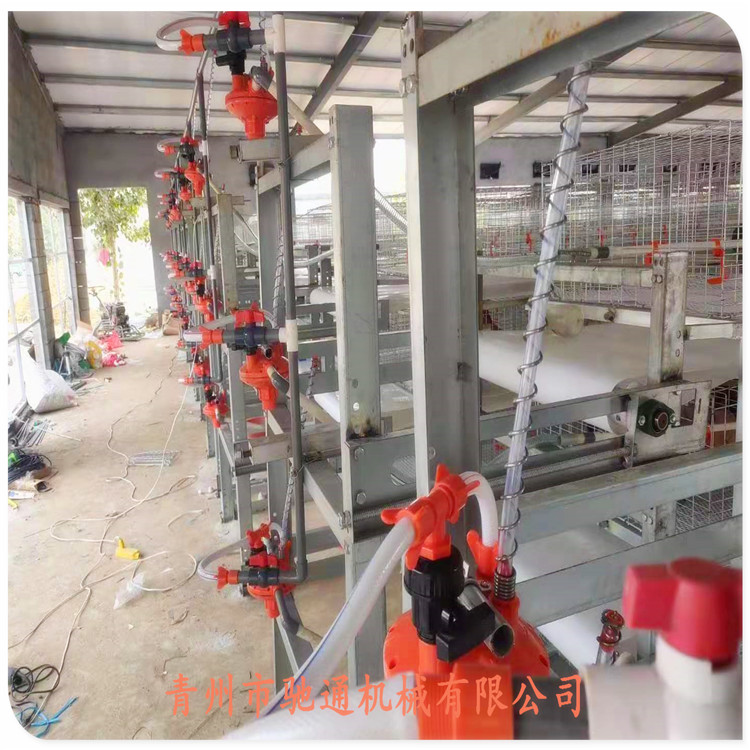 厂家批发重庆质优价廉全自动养殖设备用于肉鸡笼养节约场地提高劳动生产力