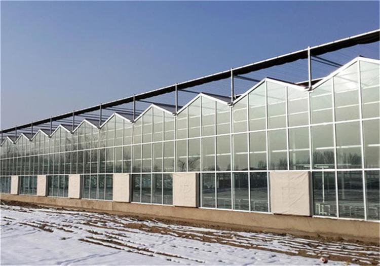 玻璃温室大棚 玻璃温室大棚承建 玻璃温室大棚建造公司 成铭