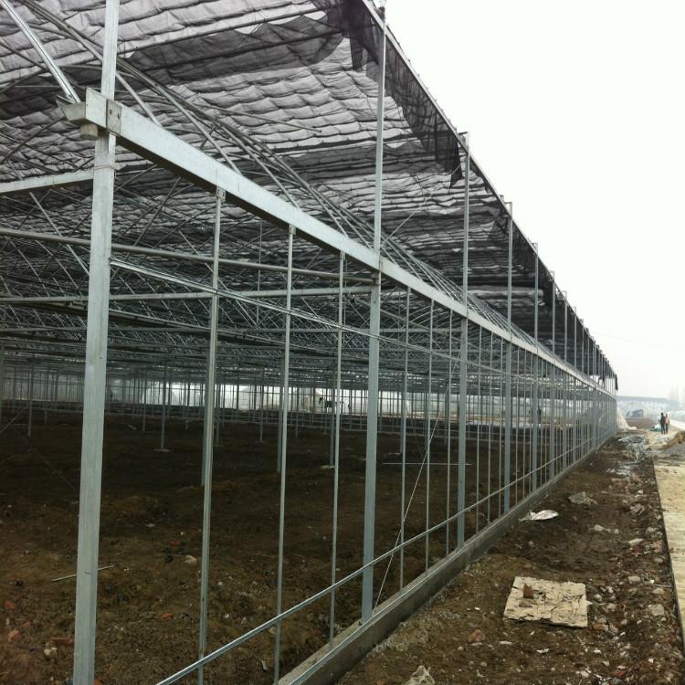 河北智能薄膜连栋温室大棚建设