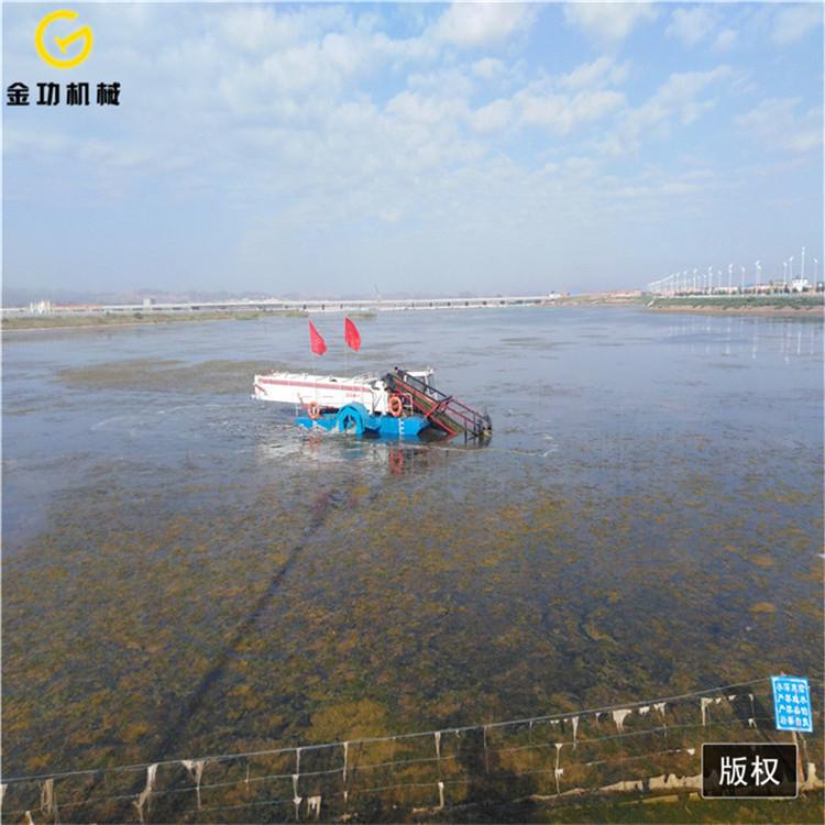 全自动保洁船价格 湖面收割水草机器 山东割草船供应商