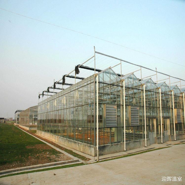 智能玻璃温室大棚 玻璃温室大棚厂家