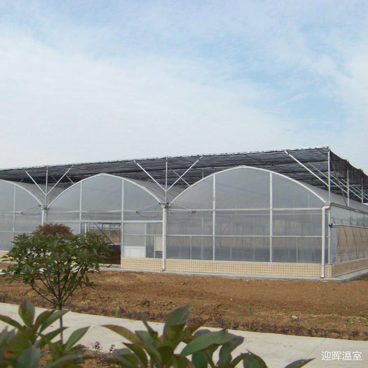 连栋薄膜温室大棚 薄膜温室大棚建设