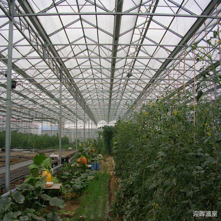 辣椒西红柿日光温室大棚厂家
