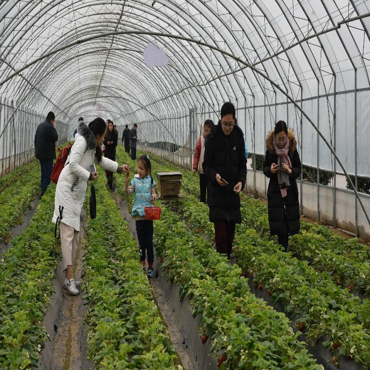 山西蔬菜大棚建设公司