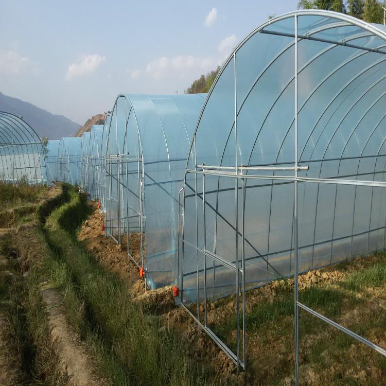 山东连栋日光温室大棚建设 优惠报价