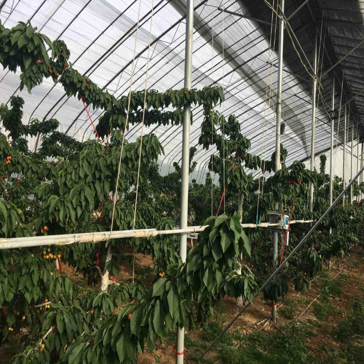 智能农业温室大棚