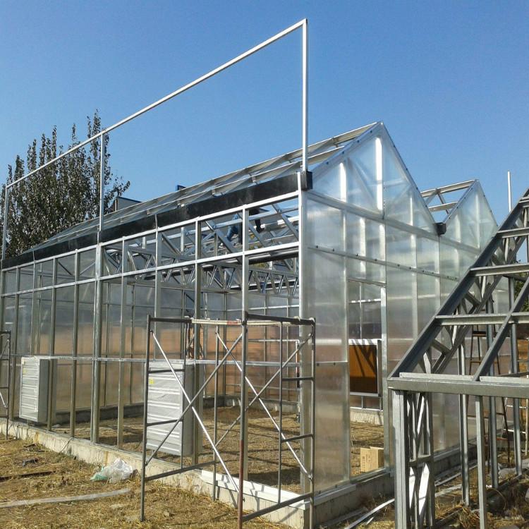 蔬菜观光温室大棚 蔬菜温室建造厂家