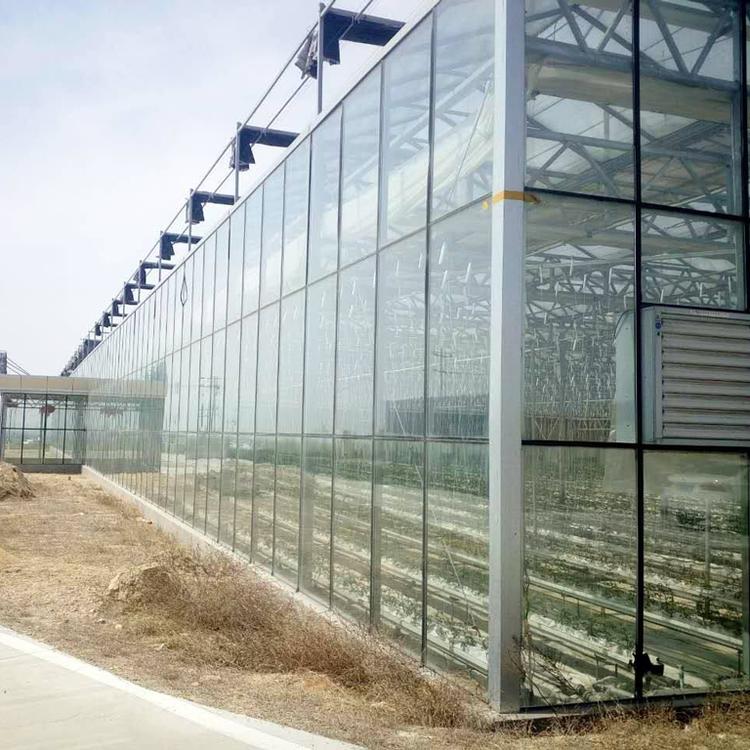 阳光板温室建造 山东阳光板温室工程