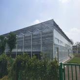 天津连栋温室建设 连栋温室请选诚阳温室 玻璃温室大棚 蘑菇菌种植大棚